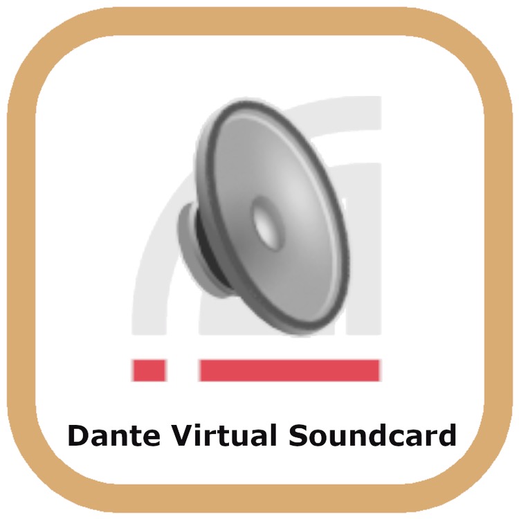 Software License - DANTE DVS (IA key)
